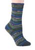 Picture of Berroco Comfort Sock